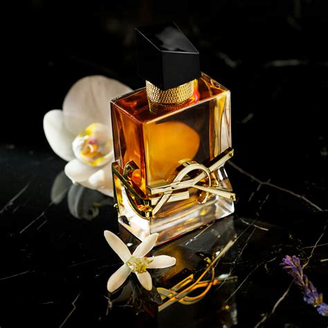 lvdp ysl|yves saint laurent perfume nordstrom.